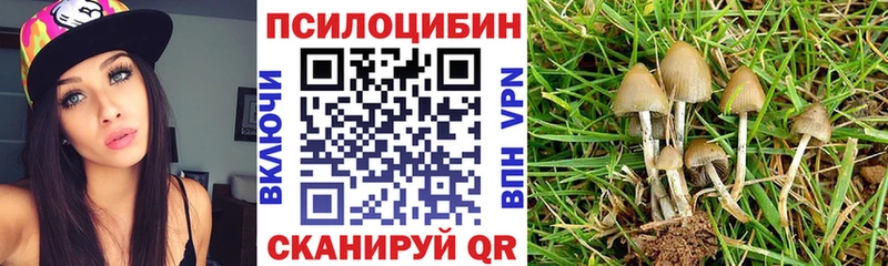 Купить закладки  Бакал  Псилоцибиновые грибы Cubensis 