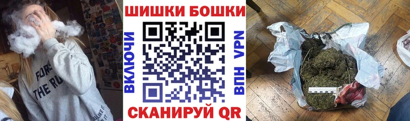 Купить  Бакал  Конопля план 